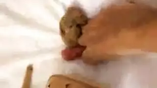 المكسيكي صنم السمين الجنس الشرجي