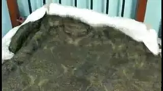 غرفة الاختيار