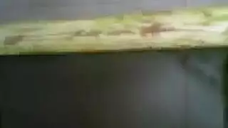 سكس جماعي هندي عنيف في الطيز والكس