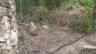 فتاة عربية ممتلئة تتحمل اختراقاً مزدوجاً قاسياً في الخارج